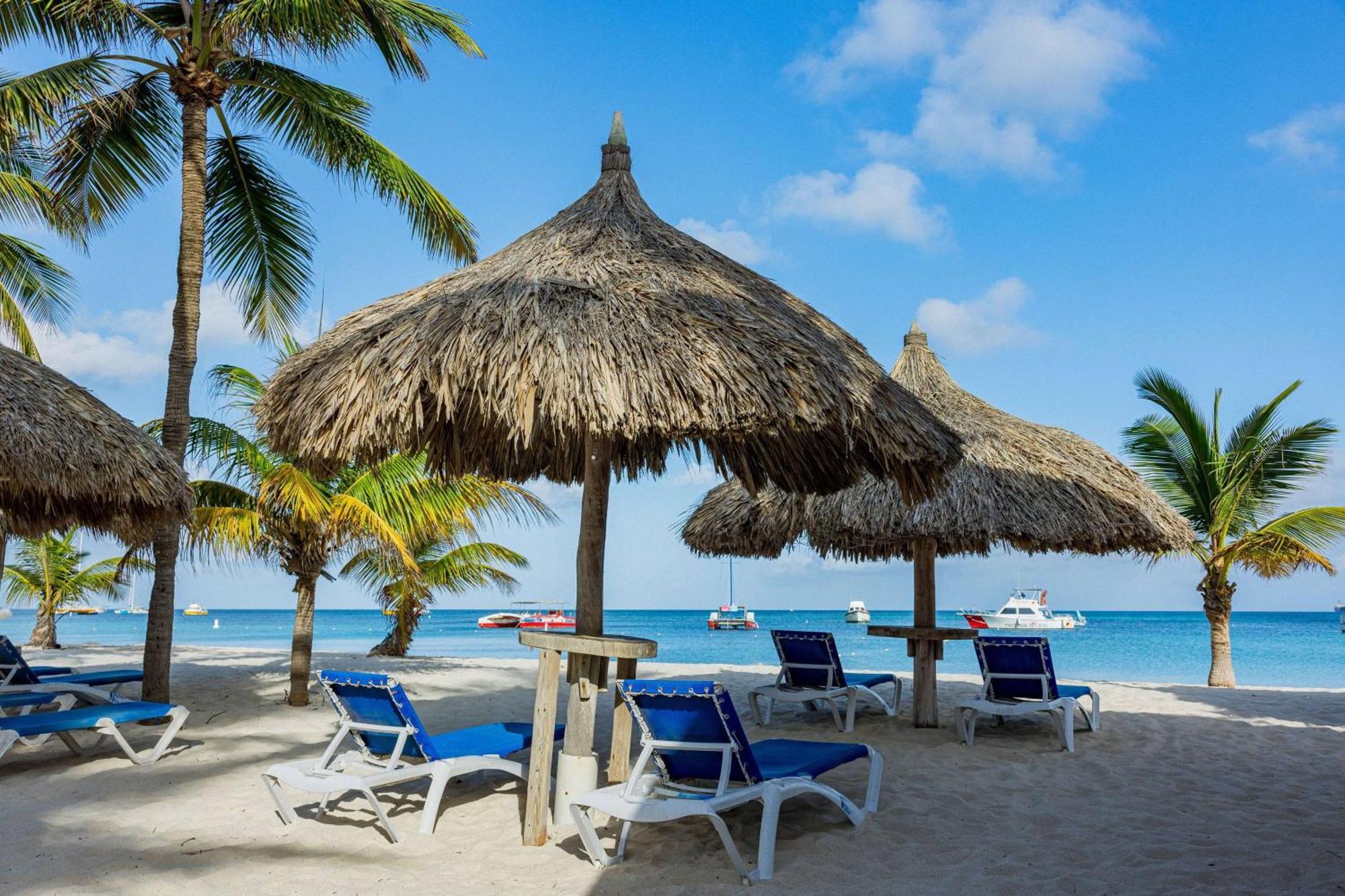 Hotel Tryp By Wyndham Aruba (Adults Only) Palm Beach Exterior foto